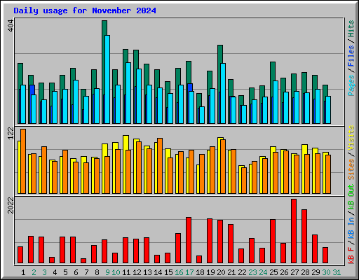 Daily usage for November 2024