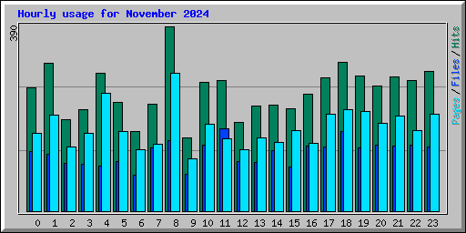 Hourly usage for November 2024