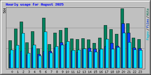Hourly usage for August 2025