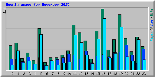 Hourly usage for November 2025