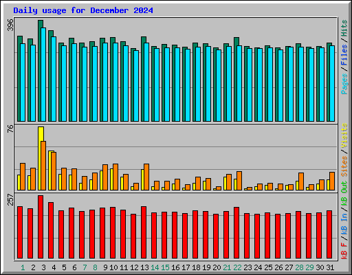 Daily usage for December 2024