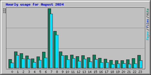 Hourly usage for August 2024