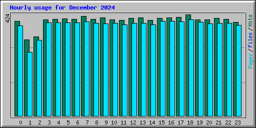 Hourly usage for December 2024