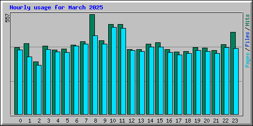 Hourly usage for March 2025