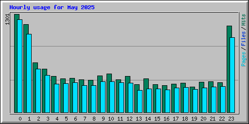 Hourly usage for May 2025