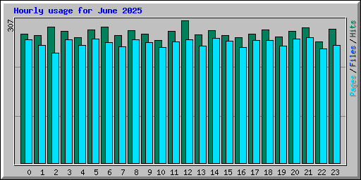 Hourly usage for June 2025
