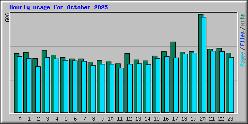 Hourly usage for October 2025