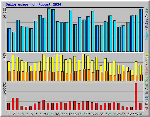 Daily usage for August 2024