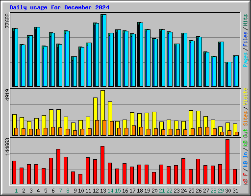 Daily usage for December 2024