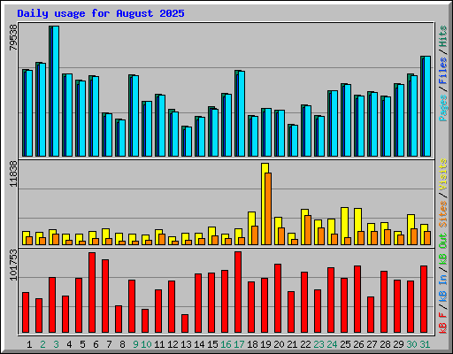 Daily usage for August 2025