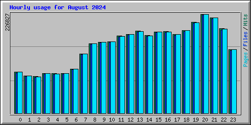 Hourly usage for August 2024