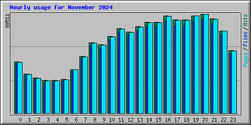 Hourly usage for November 2024