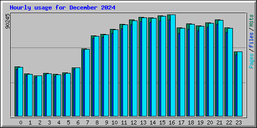 Hourly usage for December 2024