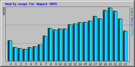 Hourly usage for August 2025