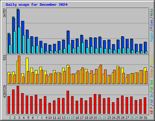 Daily usage for December 2024
