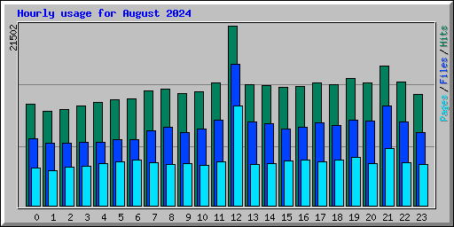Hourly usage for August 2024