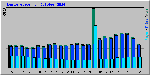 Hourly usage for October 2024