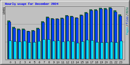 Hourly usage for December 2024