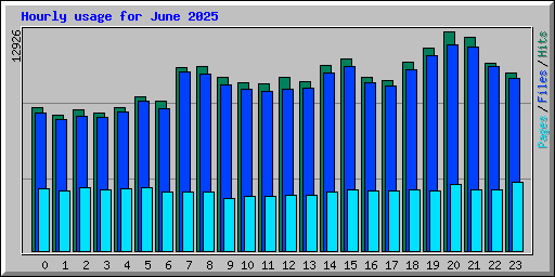 Hourly usage for June 2025