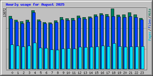 Hourly usage for August 2025