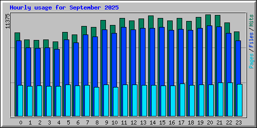 Hourly usage for September 2025