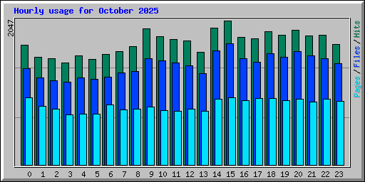 Hourly usage for October 2025