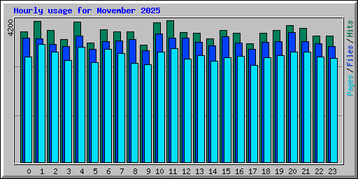 Hourly usage for November 2025